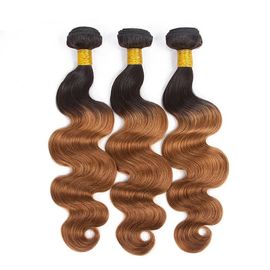 China Califique el material real del pelo de las extensiones el 100% del pelo de Ombre del tono 8A tres proveedor
