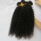 El pelo brasileño puro rizado rizado de la Virgen del Afro humano sin procesar del pelo lía color natural proveedor