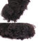 El pelo rizado rizado del Afro humano peruano lía color natural ningún olor químico proveedor