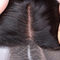 Cierre libre del cordón de la pieza 13x4 del malasio ningún enredo con la línea natural del pelo proveedor