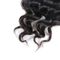 100% paquetes brasileños de la armadura del pelo del grado de la Virgen 9A, rizado grande del cabello humano lleno de los extremos proveedor