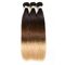 Armadura brasileña del pelo de Ombre de 3 tonos, extensiones reales rectas sedosas del pelo de Ombre proveedor