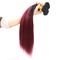 Extensiones brasileñas del cabello humano de Ombre de la armadura del pelo de Ombre de la Virgen 12&quot; a 26&quot; proveedor