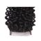 El pelo rizado rizado brasileño de la Virgen del cierre del cordón 4x4 lía para la mujer negra proveedor
