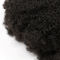 Buen ratio de la Virgen del cabello humano del Afro del cabello humano de la trama rizada rizada brasileña de la extensión proveedor
