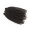 El cabello humano peruano rizado de la Virgen del pelo rizado del Afro lía densidad completa ningunos piojos ningún enredo proveedor