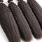 El pelo rizado rizado de Yaki lía a mujeres 100 extensiones del cabello humano no químicas proveedor