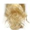 Color rizado de las pelucas #613 del frente del cordón del cabello humano de Glueless con la densidad del 130% proveedor